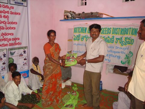 Kitchen Garden seeds distribution in Guntipalli (2011)